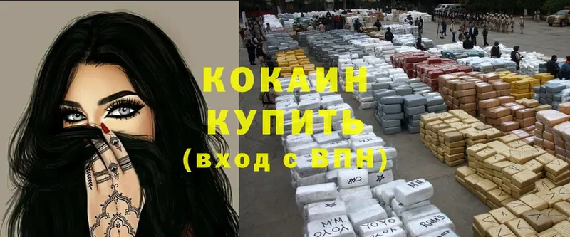 кракен онион  Волгоград  Cocaine Fish Scale 